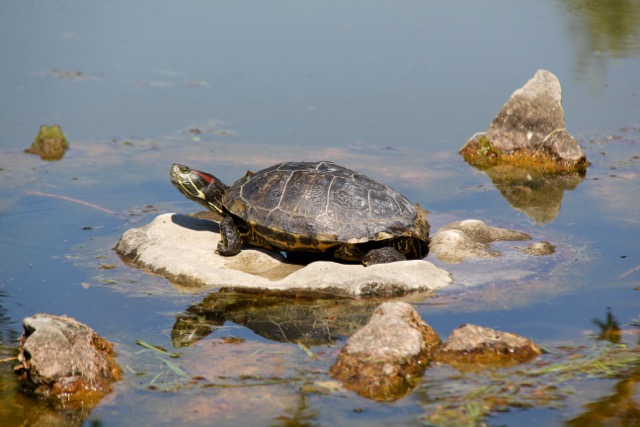 2015-0630_Reise Benno_0185 